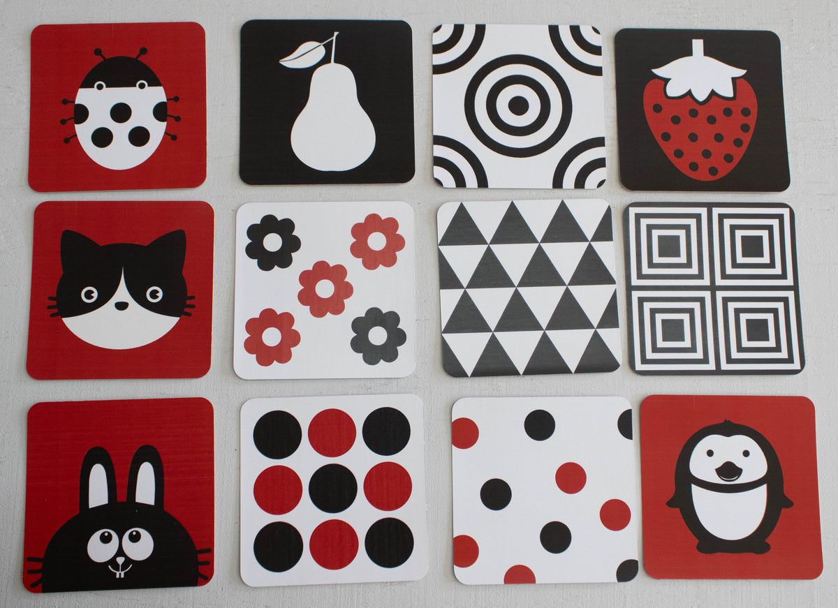 Klein Karnallie High-Contrast Baby Sensory Cards — 12-Piece Set