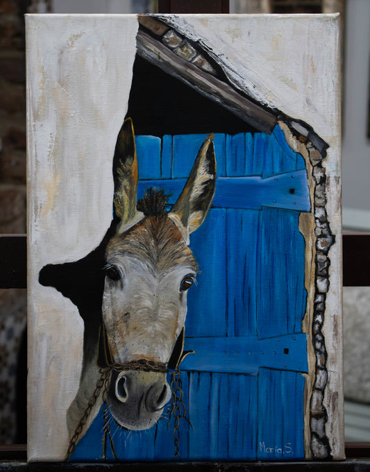 Behind the Blue Door