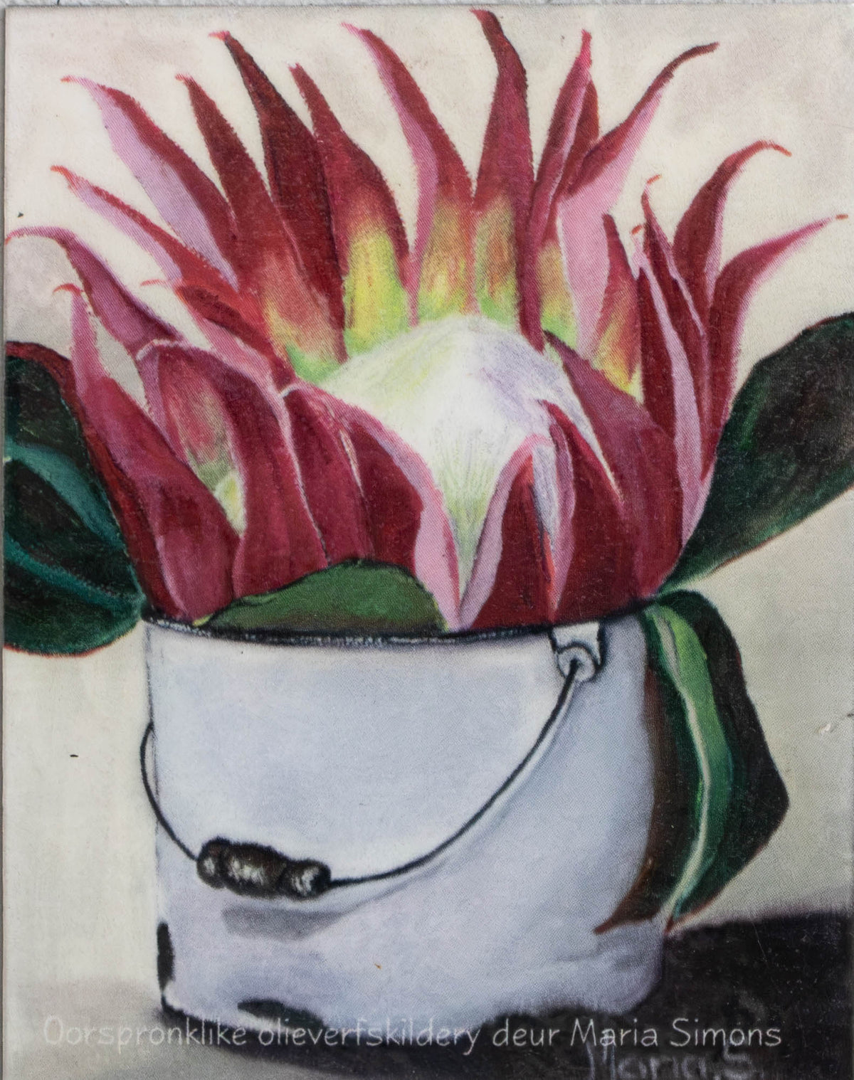 South African King Protea Fridge Magnet