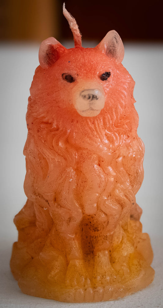 Hand-Poured Sitting Wolf Sculptural Candle — Coral Pink & Amber