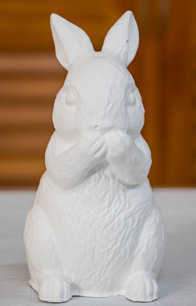 The Silent Bunny