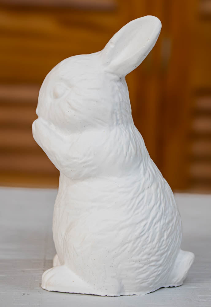 The Silent Bunny