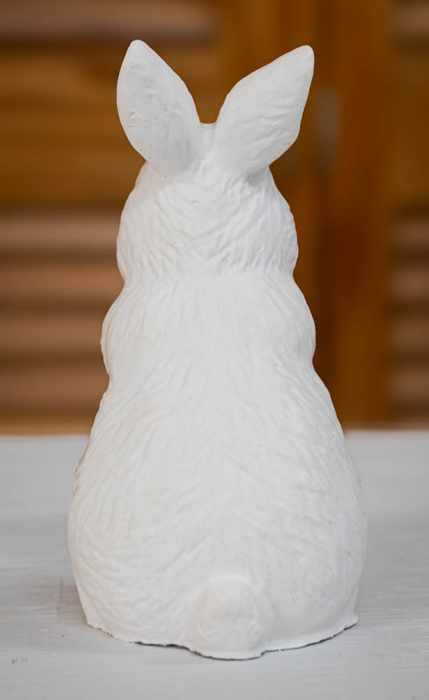 The Silent Bunny