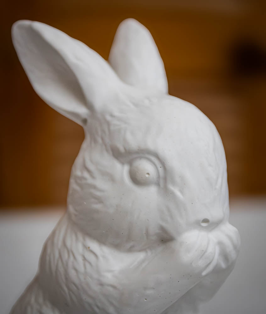The Silent Bunny