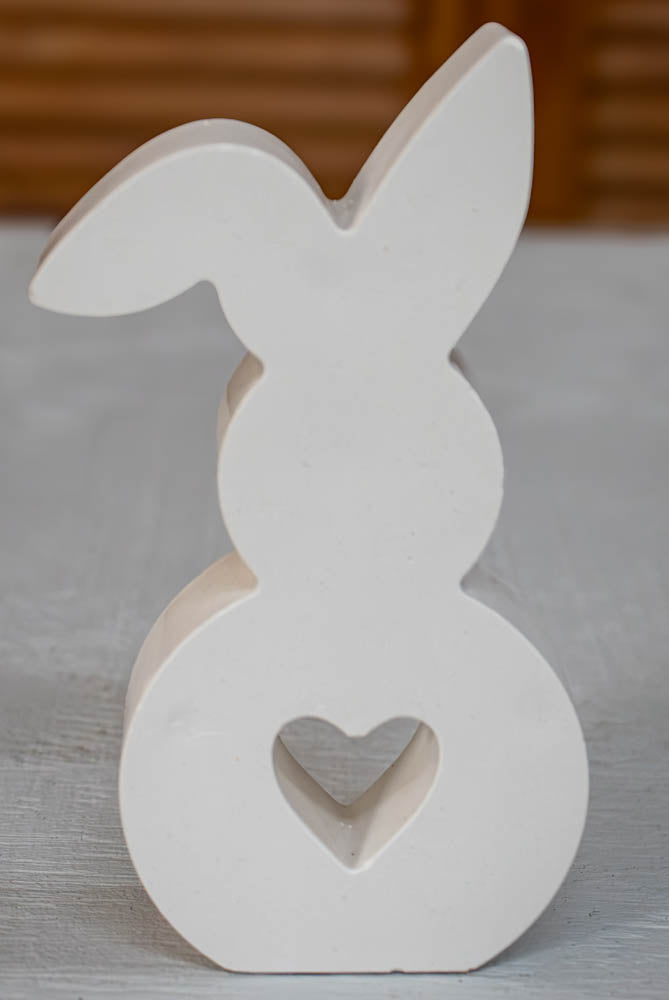The Floppy Heart Rabbit