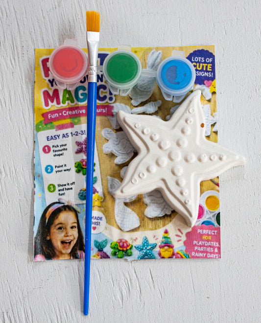 The Starfish DIY Kit
